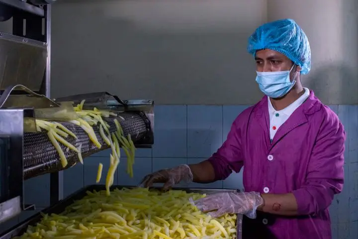 Factory worker monitoring an automated production line.