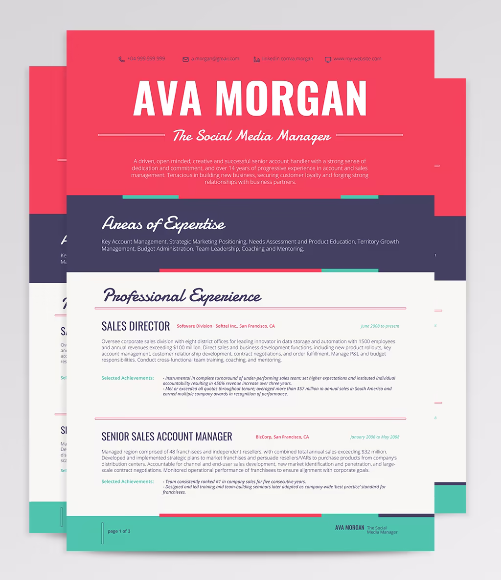 Ara resume template overview