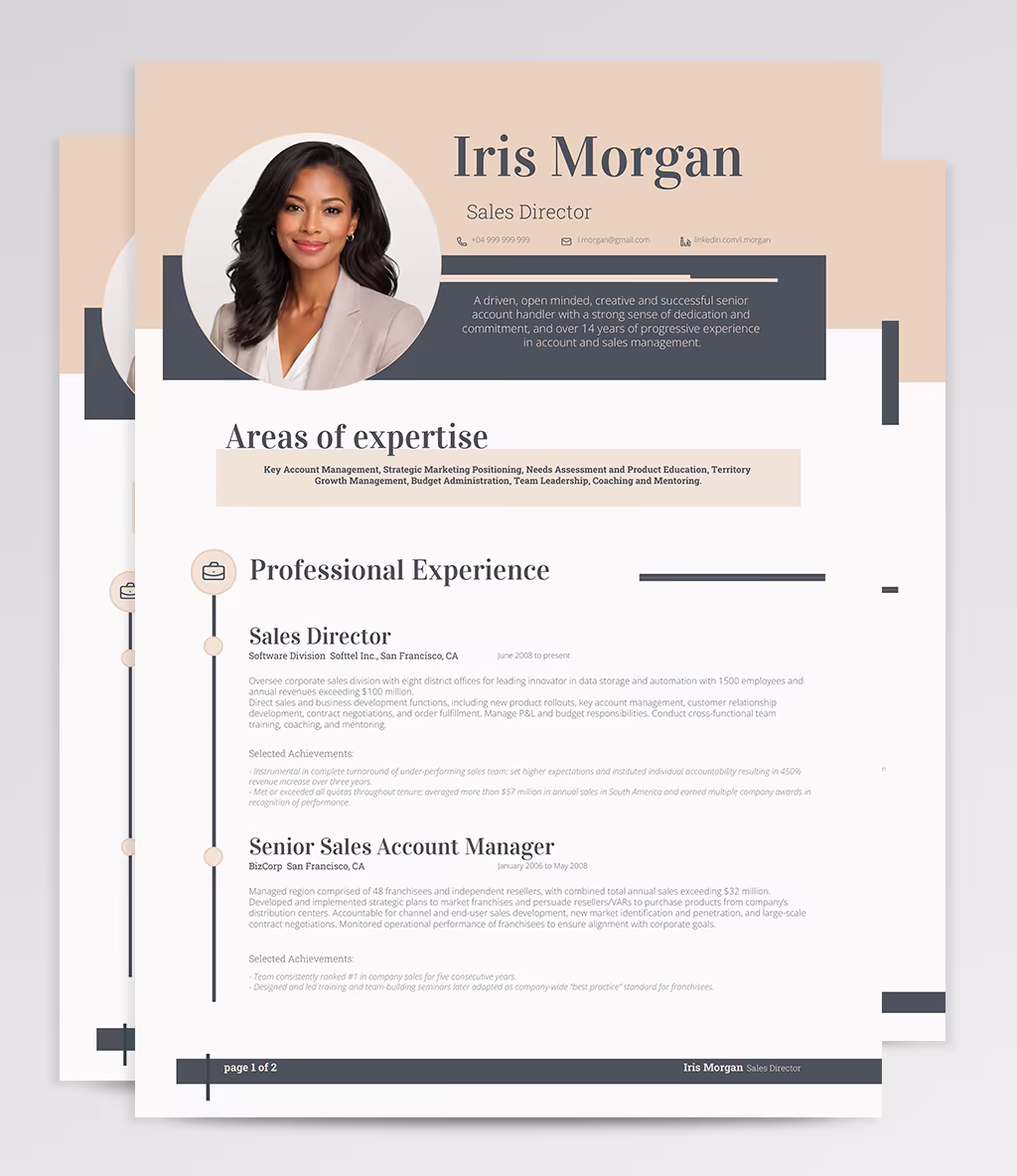 Carminia resume template overview