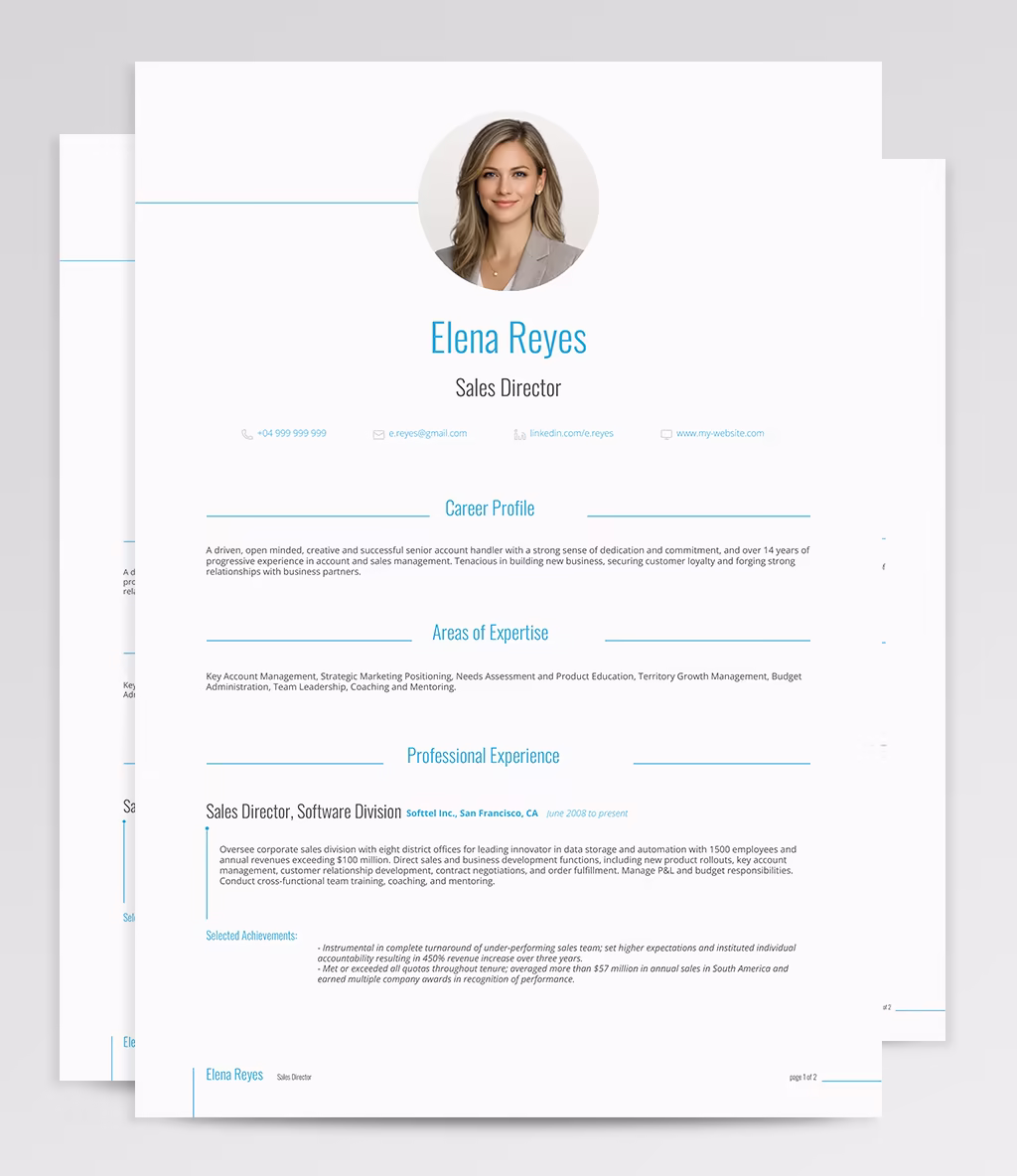 Gemini resume template overview