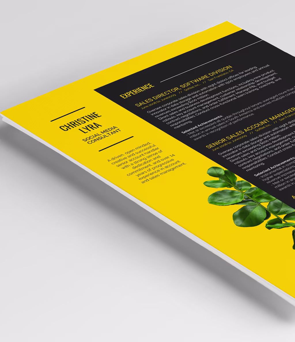 Lyra resume template header detail