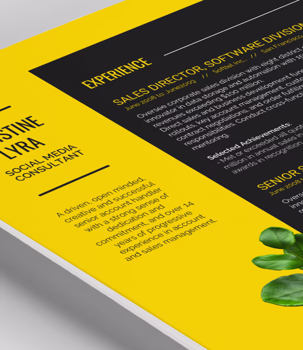 Lyra resume template content detail