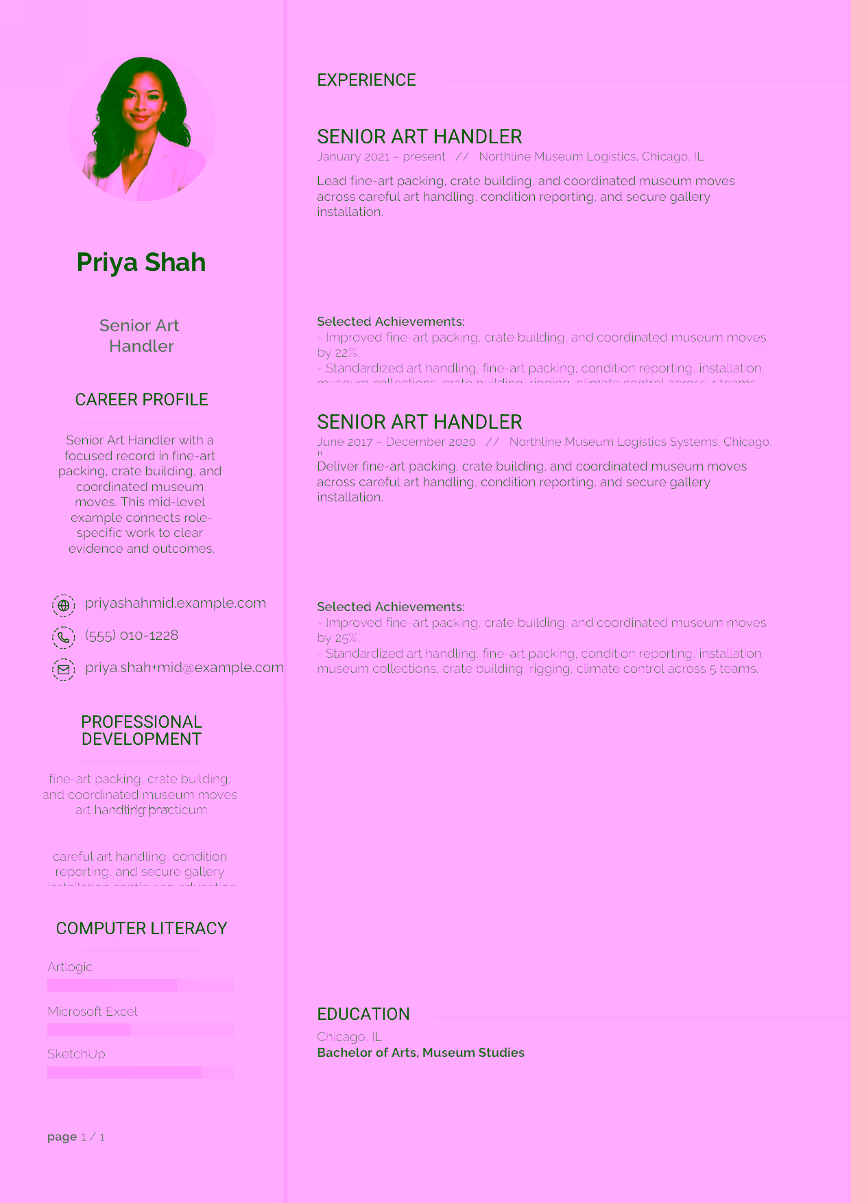 Mid-level Senior Art Handler resume example in the Synnove template focused on fine-art packing, crate building, and coordinated museum moves.