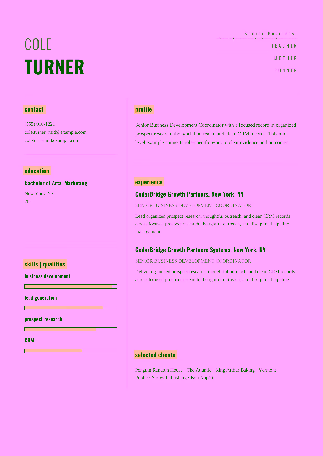 Mid-level Senior Business Development Coordinator resume example in the Dorado template focused on lead-generation programs, pipeline management, and partner communication.