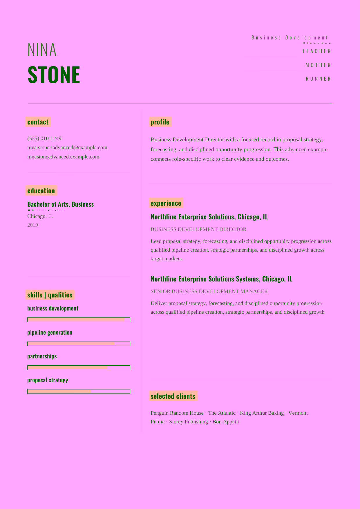 Advanced Business Development Director resume example in the Dorado template focused on market expansion, strategic alliances, and business-development leadership.