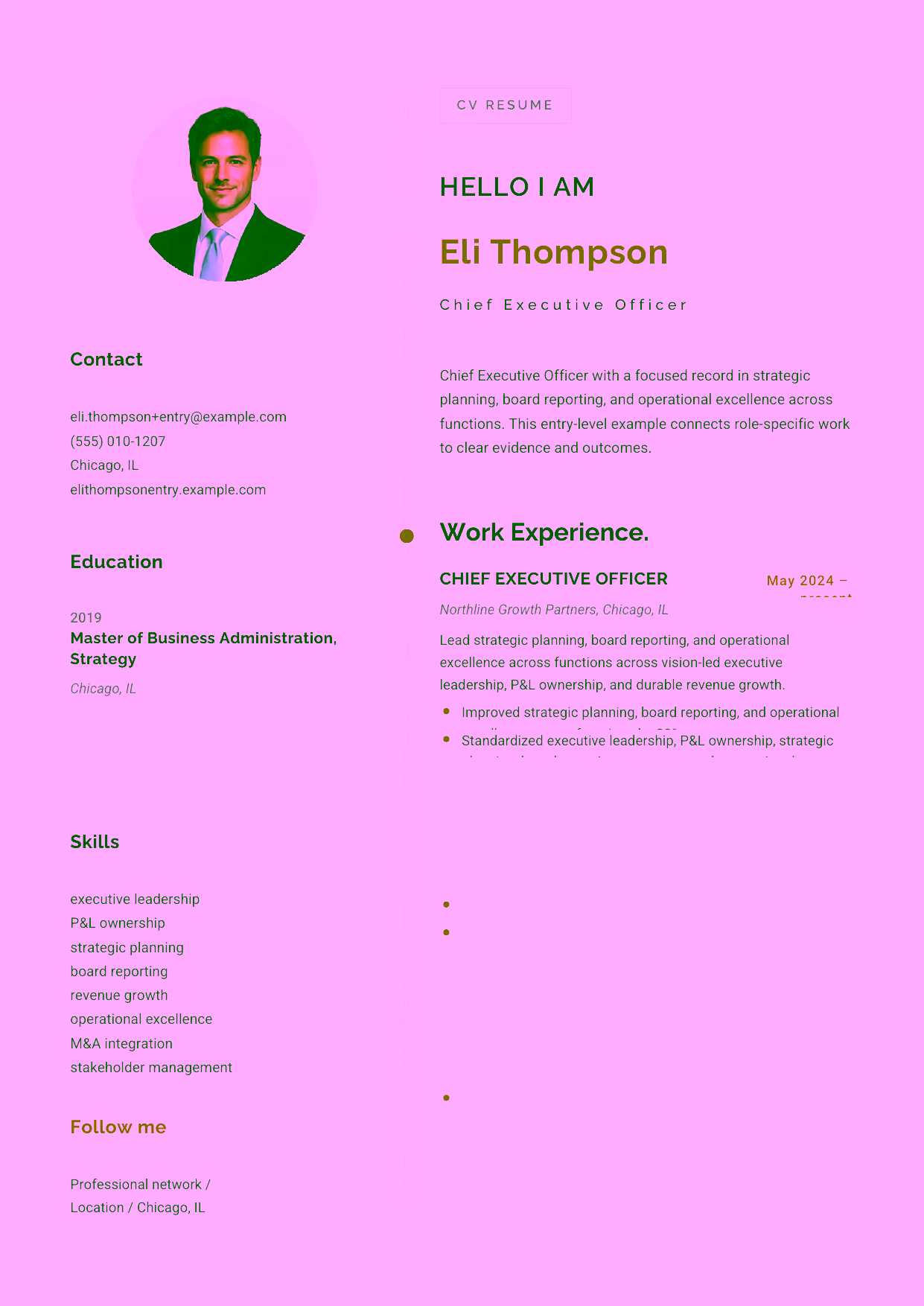 Entry-level Chief Executive Officer resume example in the Eridanus template focused on vision-led executive leadership, P&L ownership, and durable revenue growth.
