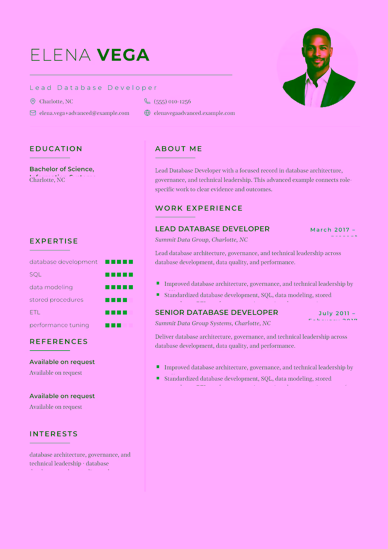 Advanced Lead Database Developer resume example in the Achernar template focused on database architecture, governance, and technical leadership.