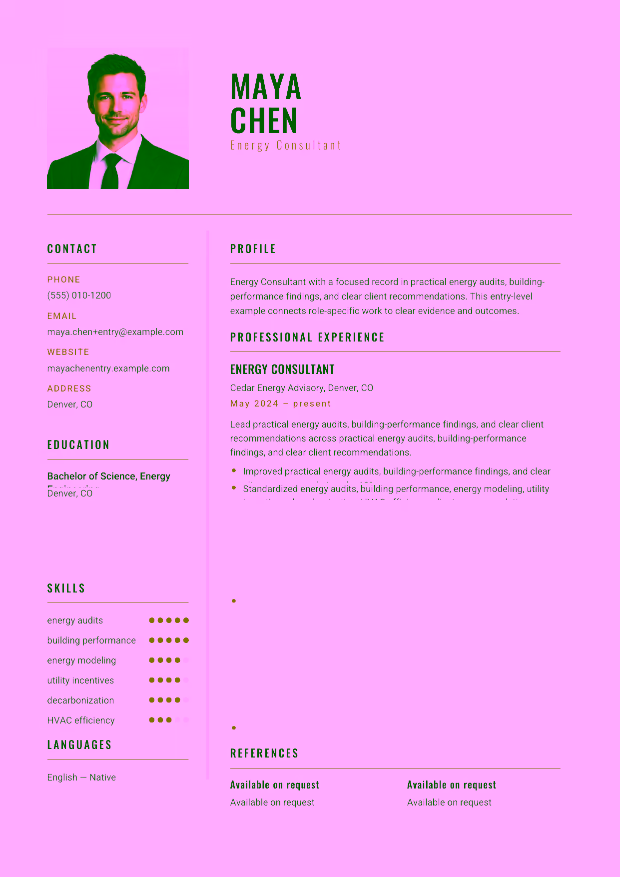 Entry-level Energy Consultant resume example in the Acamar template focused on practical energy audits, building-performance findings, and clear client recommendations.