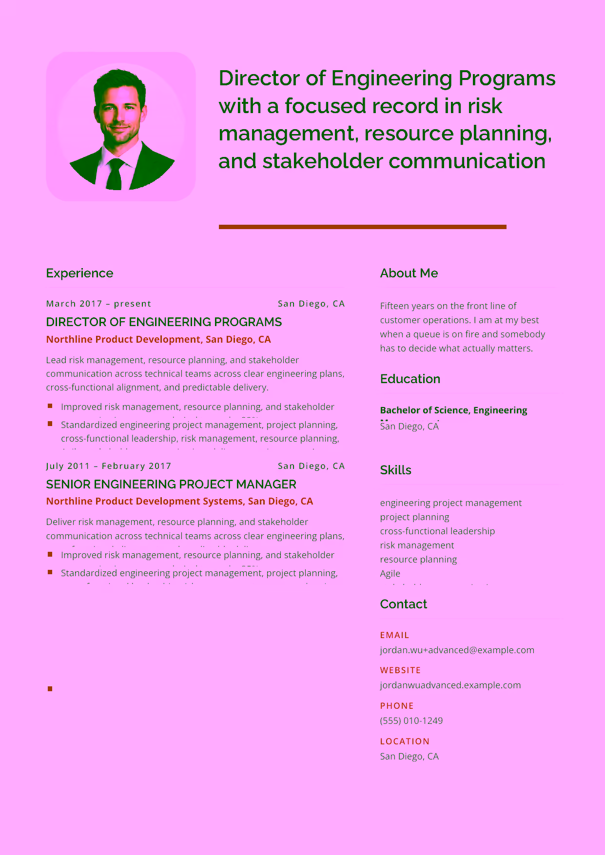 Advanced Director of Engineering Programs resume example in the Andromeda template focused on portfolio governance, delivery metrics, and engineering-program leadership.