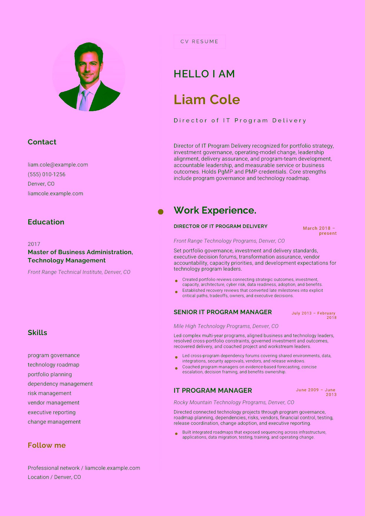Advanced Director of IT Program Delivery resume example in the Eridanus template focused on portfolio strategy, investment governance, operating-model change, leadership alignment, delivery assurance, and program-team development.