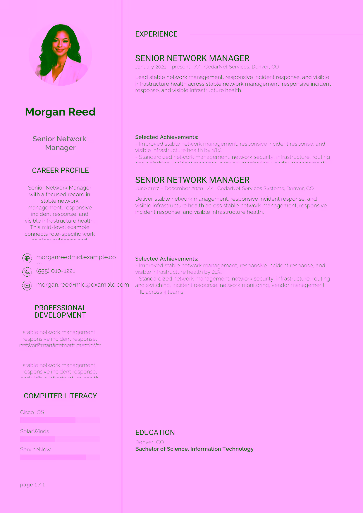Mid-level Senior Network Manager resume example in the Synnove template focused on routing and switching, network monitoring, and vendor coordination.