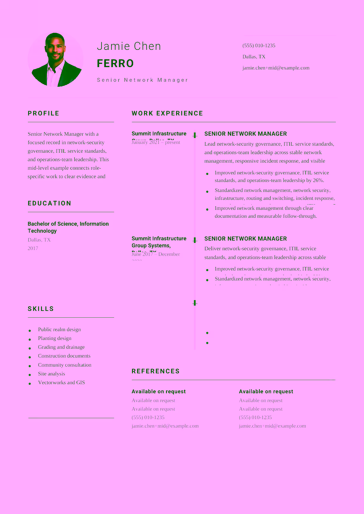 Mid-level Senior Network Manager resume example in the Puppis template focused on routing and switching, network monitoring, and vendor coordination.