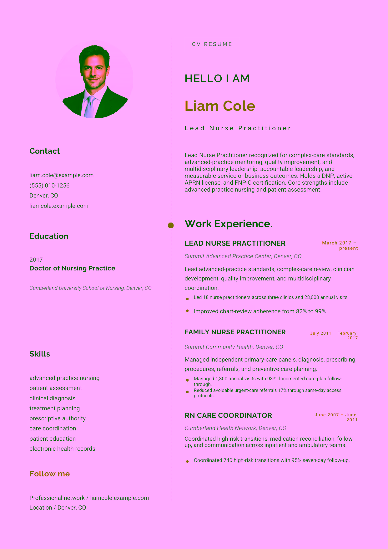 Advanced Lead Nurse Practitioner resume example in the Eridanus template focused on complex-care standards, advanced-practice mentoring, quality improvement, and multidisciplinary leadership.