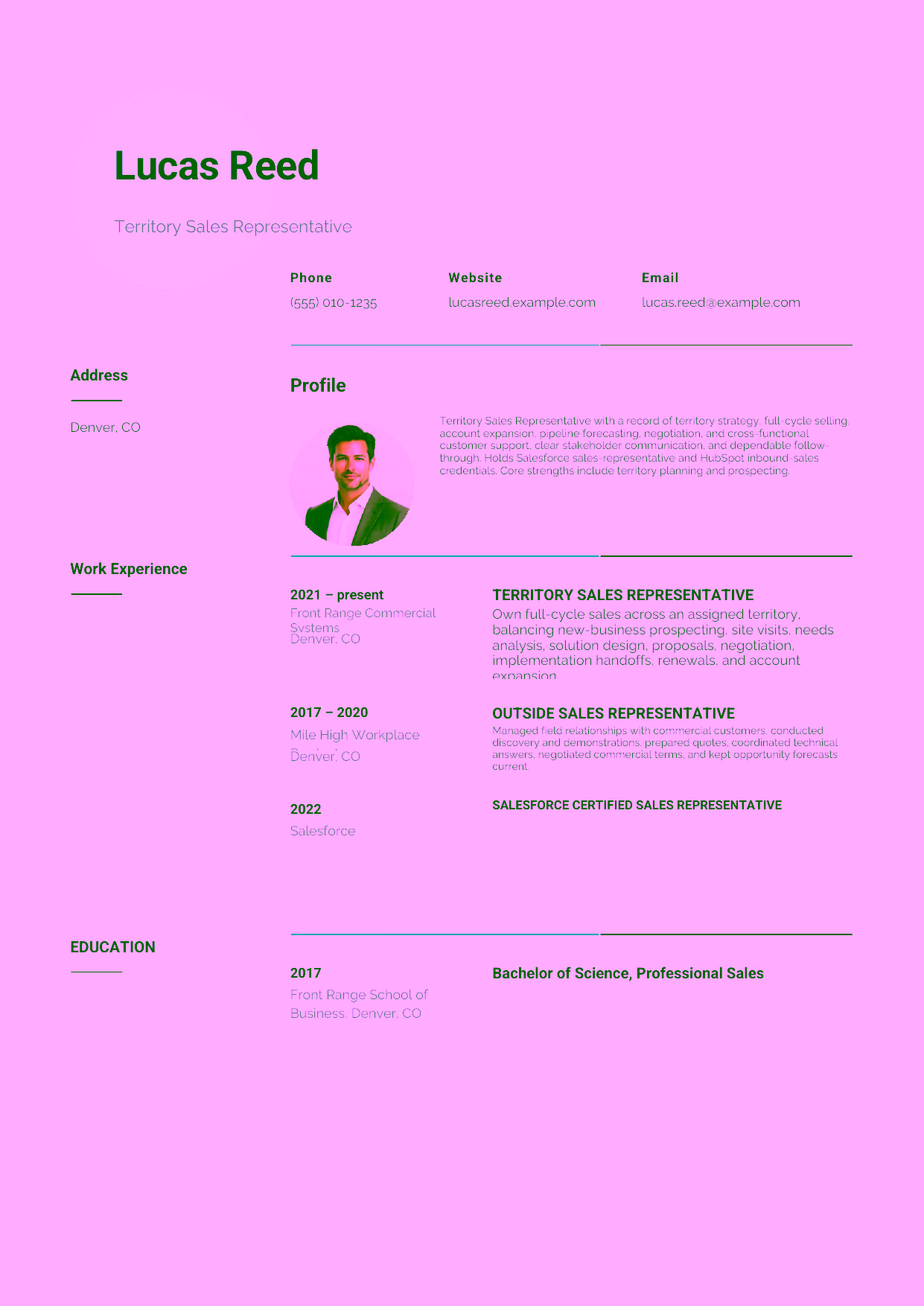 Mid-level Territory Sales Representative resume example in the Pavo template focused on territory strategy, full-cycle selling, account expansion, pipeline forecasting, negotiation, and cross-functional customer support.