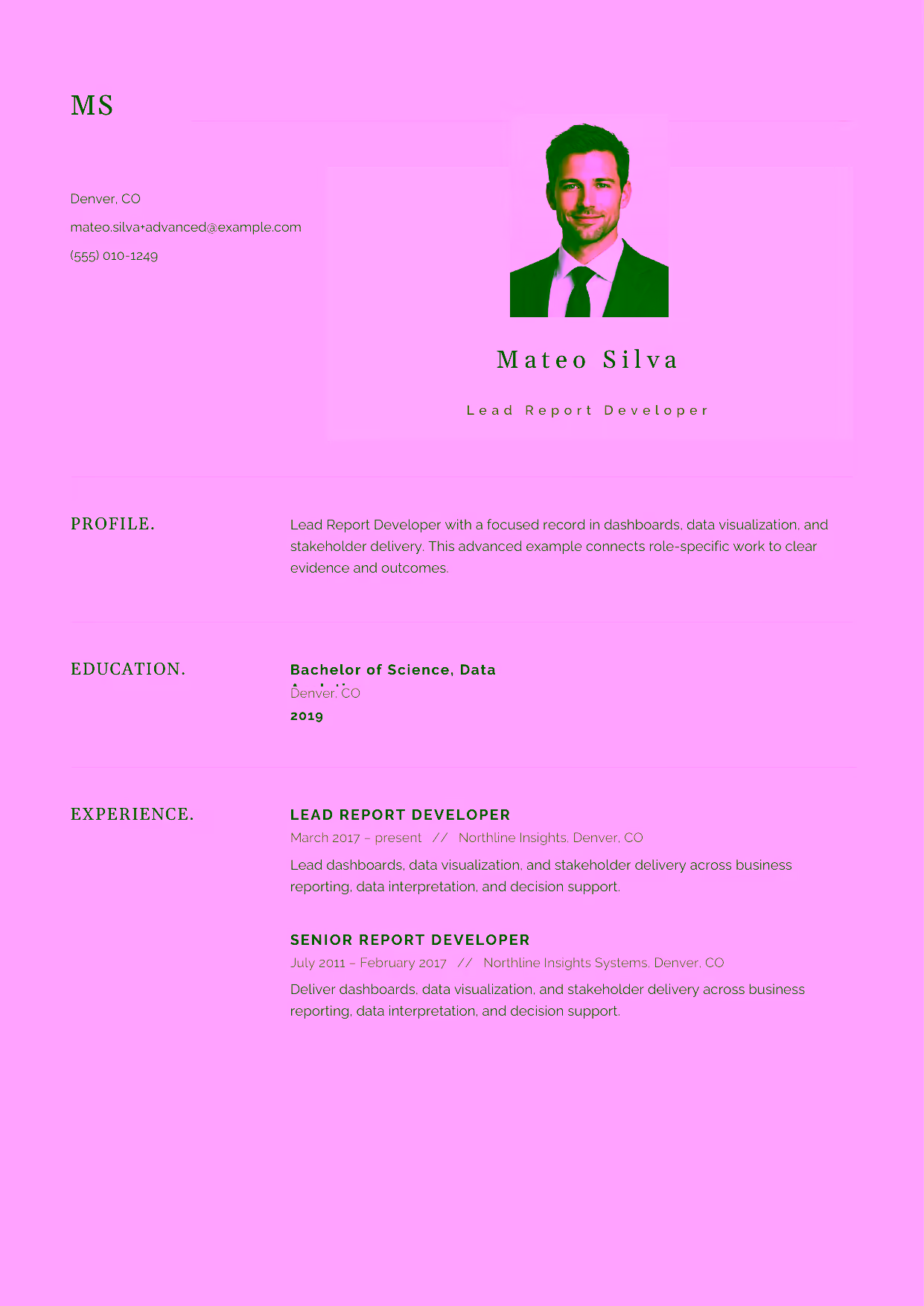 Advanced Lead Report Developer resume example in the Norma template focused on reporting architecture, quality controls, and technical leadership.