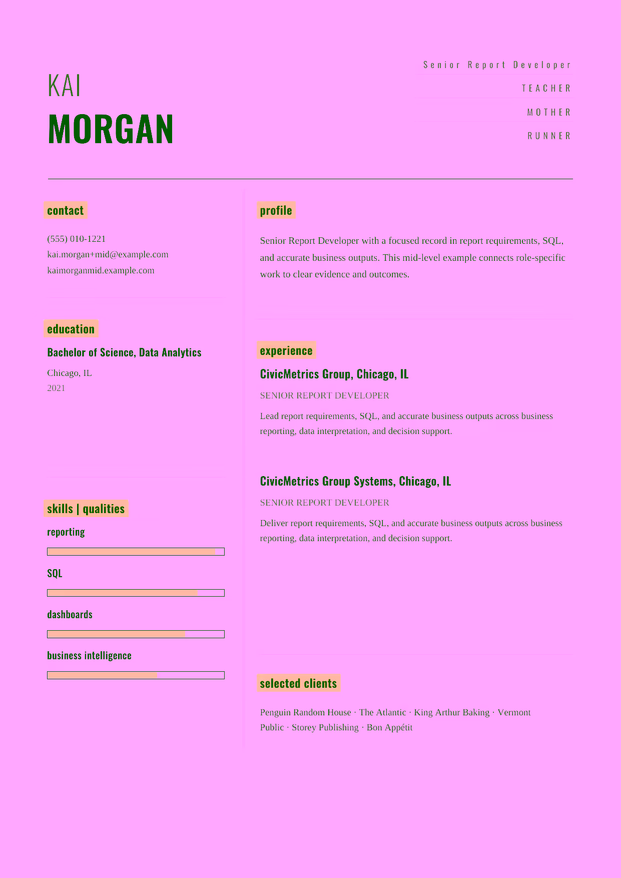 Mid-level Senior Report Developer resume example in the Dorado template focused on dashboards, data visualization, and stakeholder delivery.