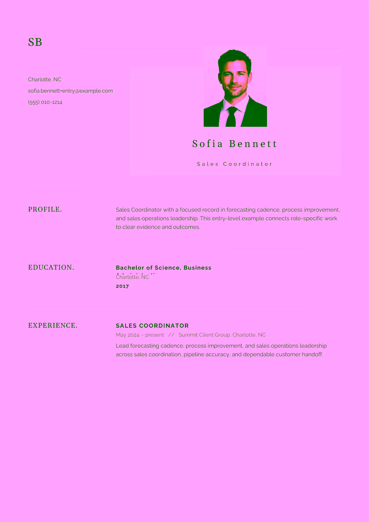 Entry-level Sales Coordinator resume example in the Norma template focused on quote preparation, order tracking, and dependable sales support.