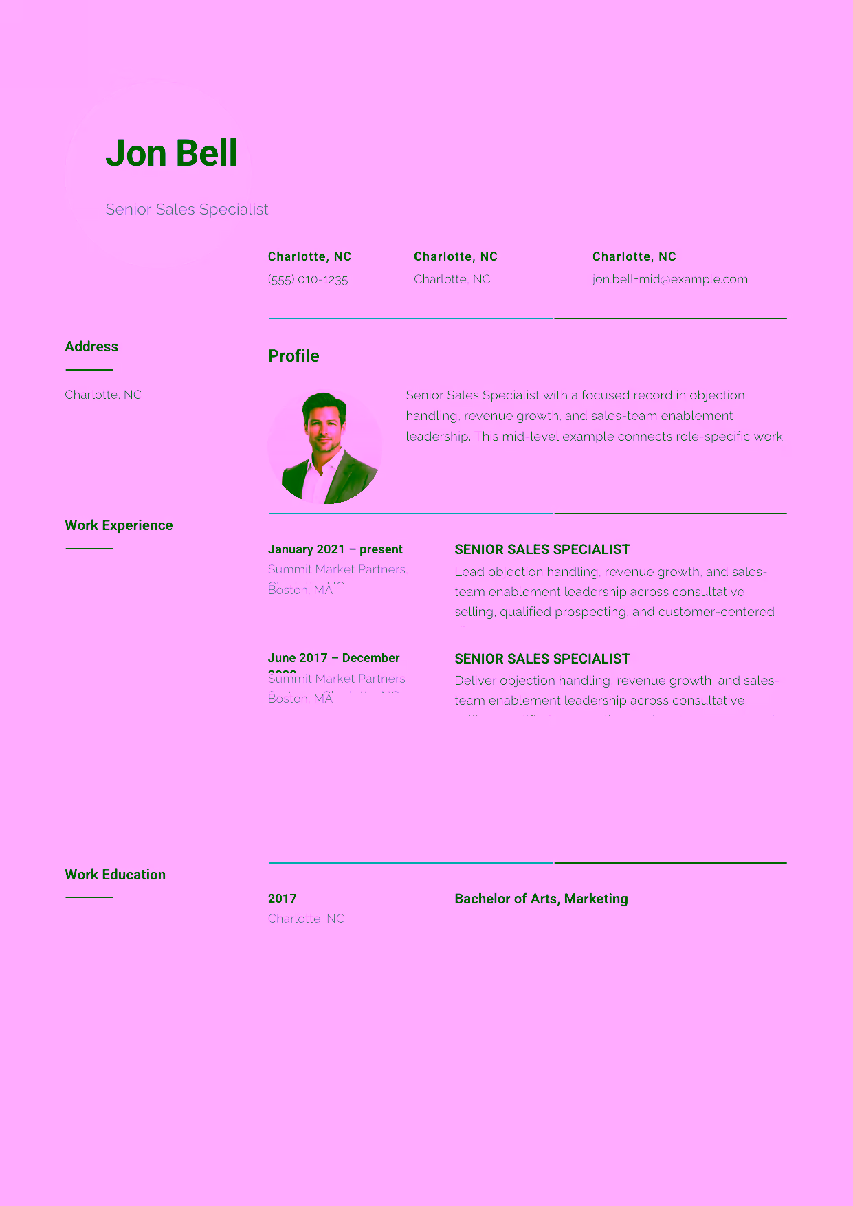 Mid-level Senior Sales Specialist resume example in the Pavo template focused on CRM discipline, pipeline management, and confident sales presentations.