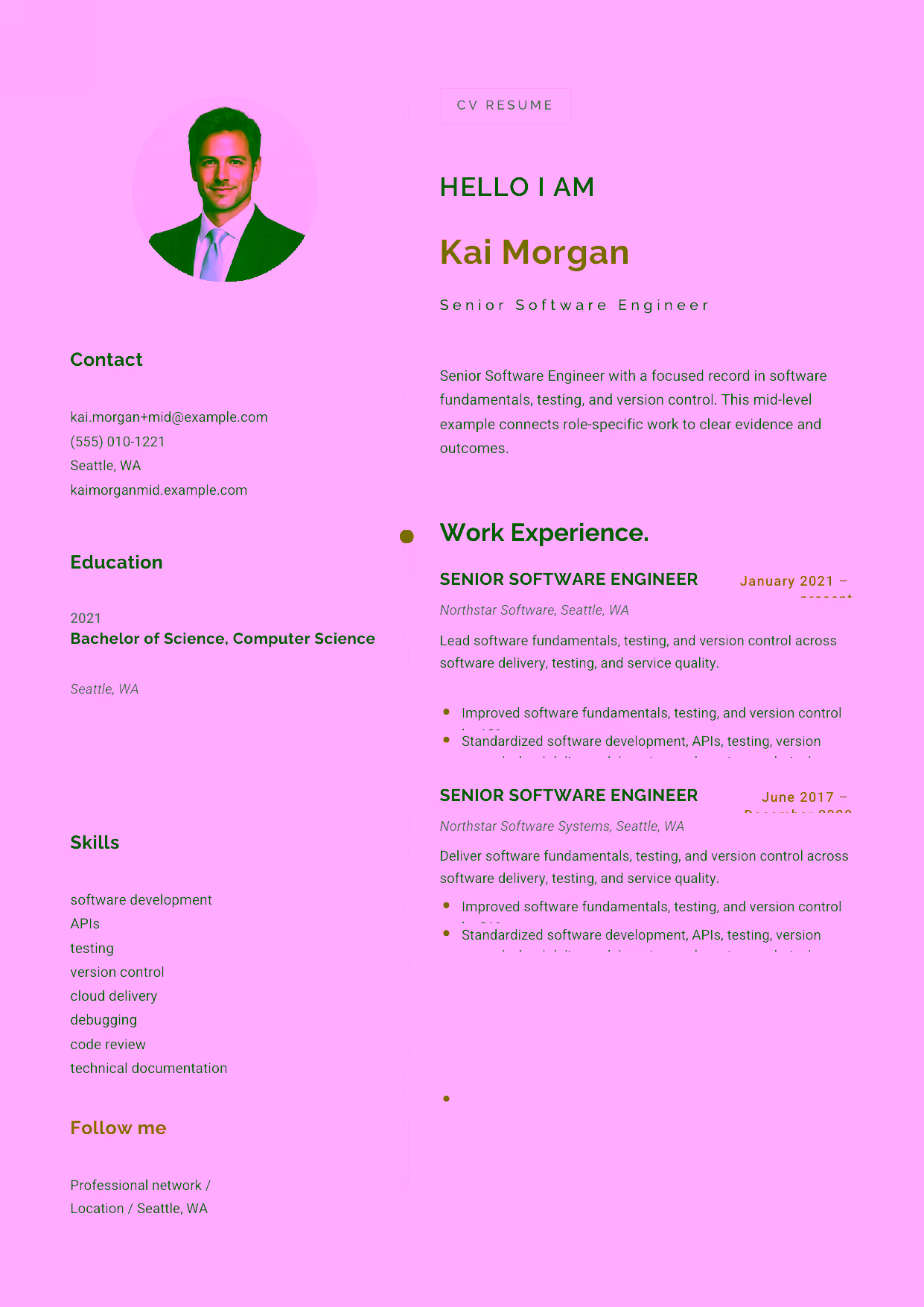 Mid-level Senior Software Engineer resume example in the Eridanus template focused on API delivery, debugging, and cloud development.