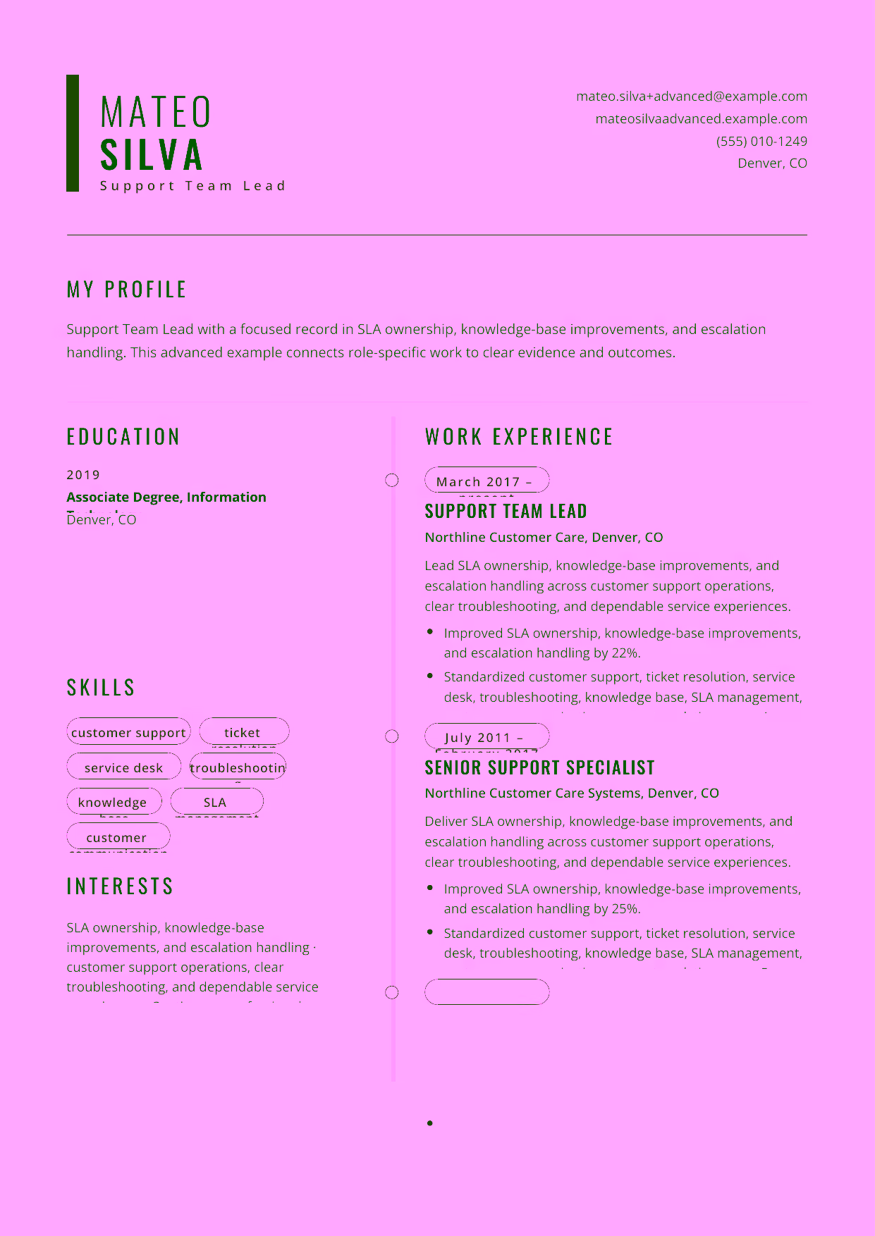 Advanced Support Team Lead resume example in the Caelum template focused on support operations, service analytics, and coaching a high-performing help team.