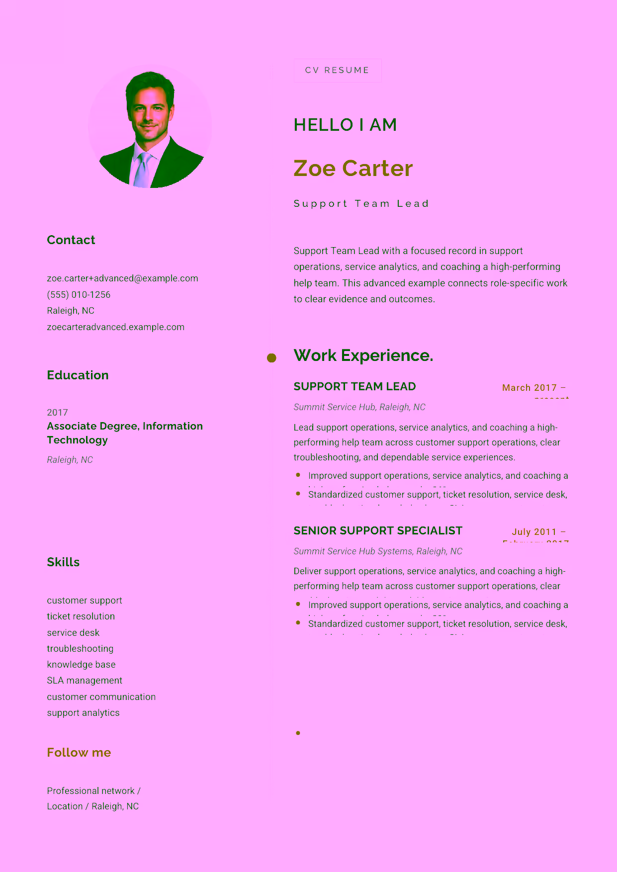 Advanced Support Team Lead resume example in the Eridanus template focused on support operations, service analytics, and coaching a high-performing help team.