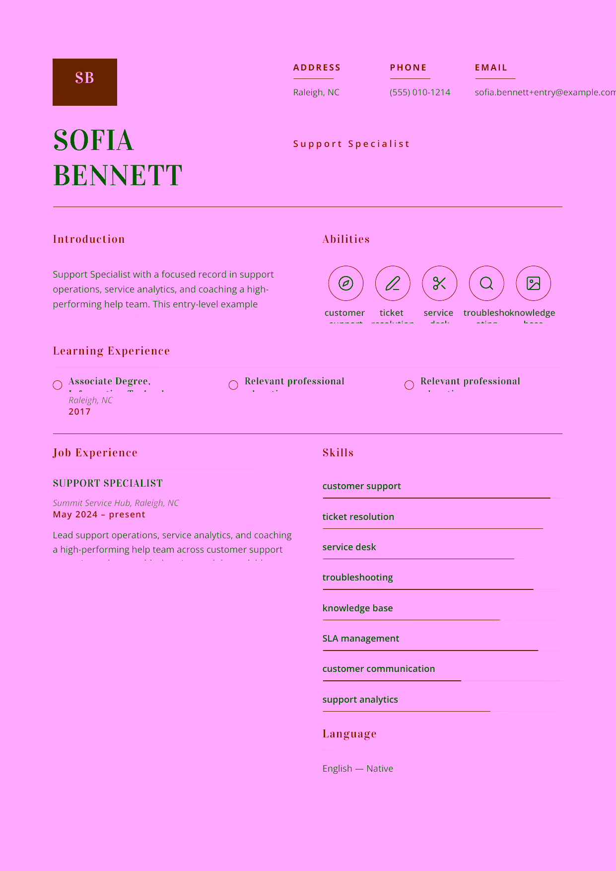 Entry-level Support Specialist resume example in the Delphinus template focused on clear customer communication, fast troubleshooting, and dependable ticket resolution.