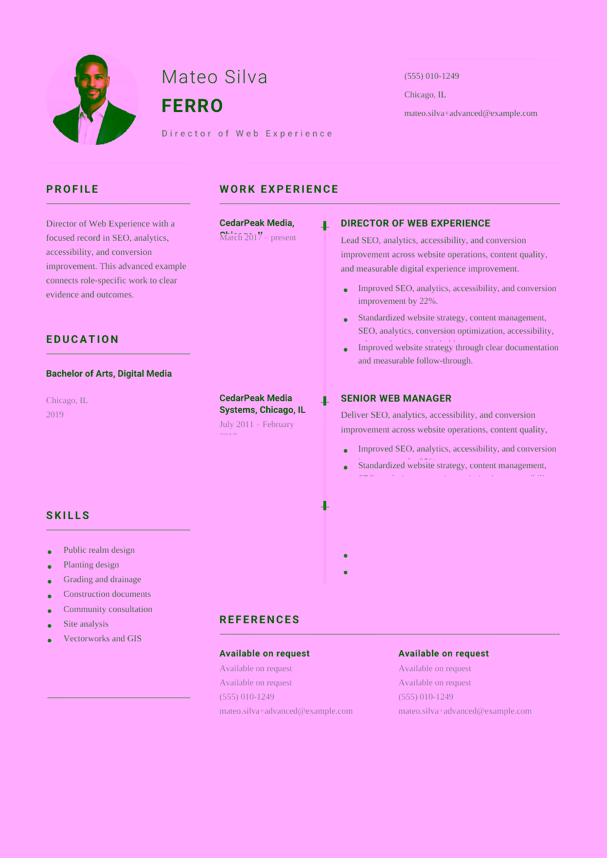 Advanced Director of Web Experience resume example in the Puppis template focused on web strategy, release governance, and cross-functional digital leadership.